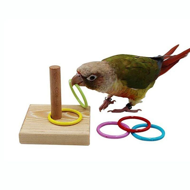 Anel de treinamento de pássaro - Gymnastic Ring Wood avaliação e preço